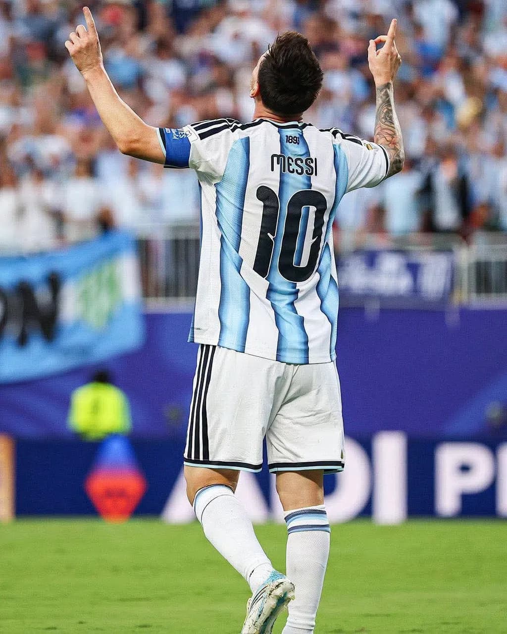 Argentina Triumph