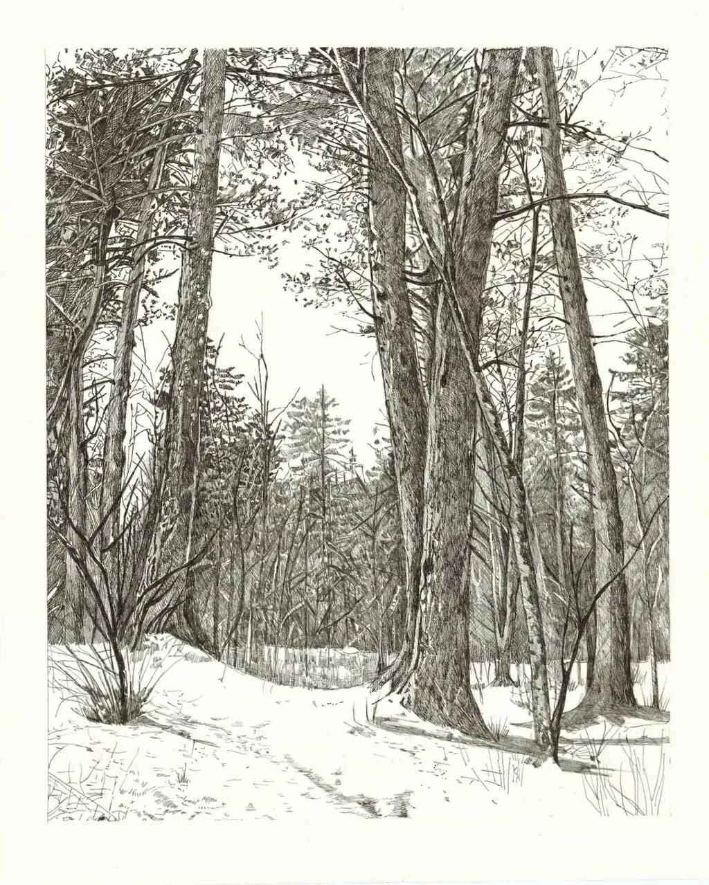 Snowbound Trail