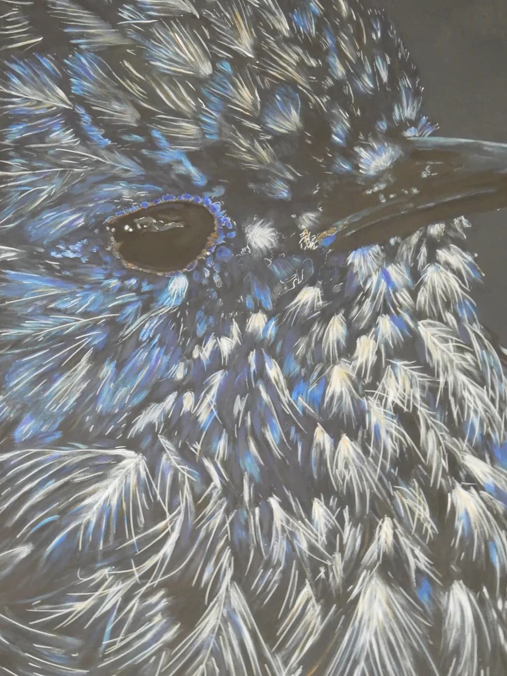 Blue Feathered Gaze