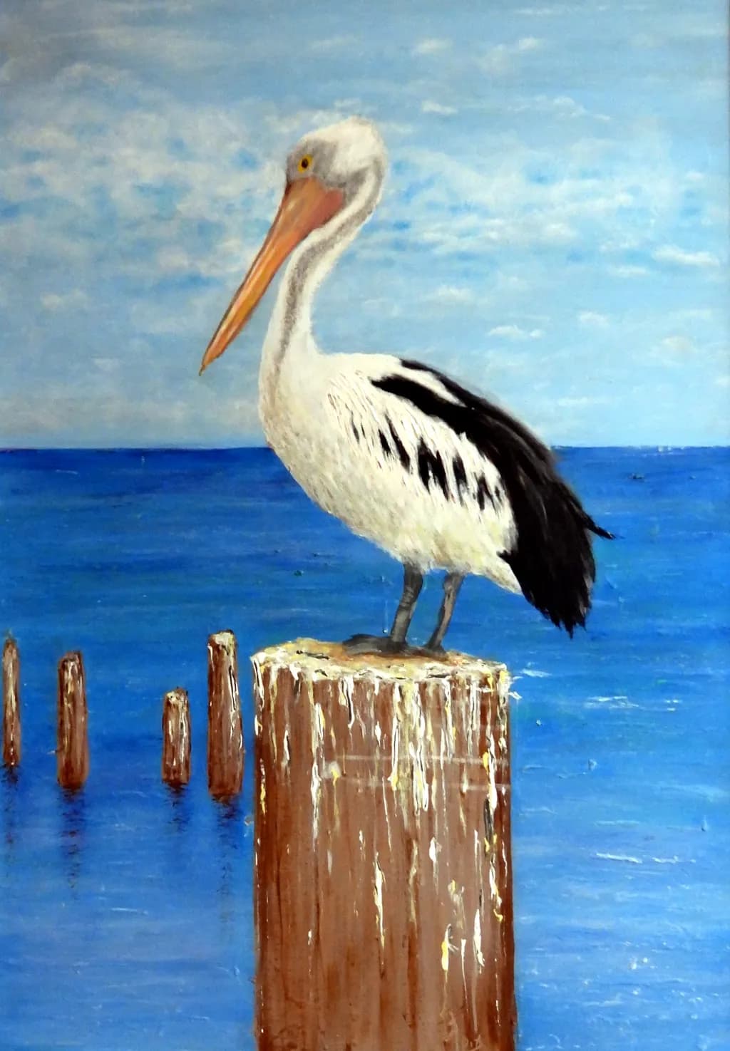 Pelican Perch