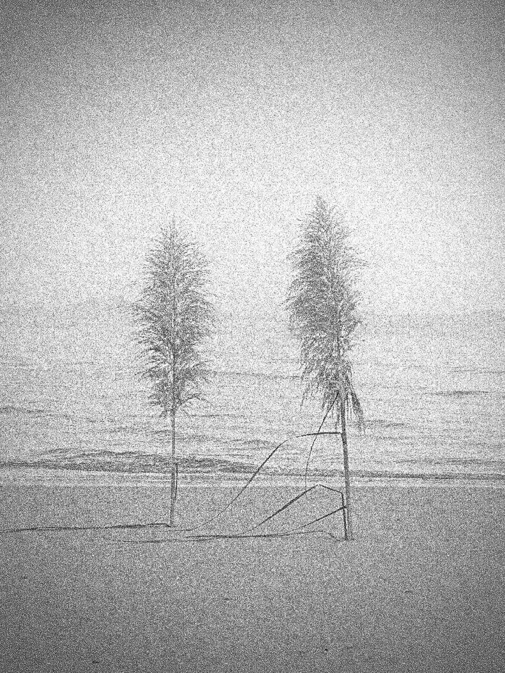 Twin Silhouettes