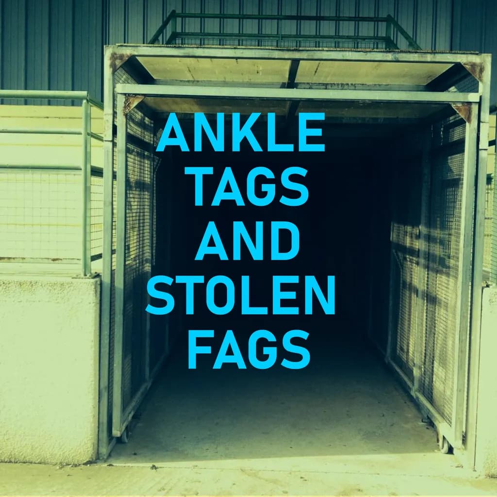 Ankle Tags and Stolen Fags