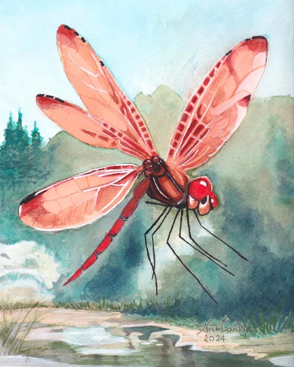 Dragonfly Flight
