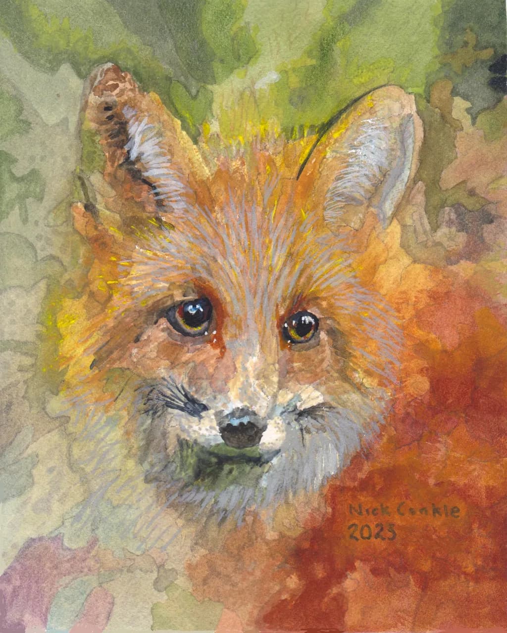 Red Fox Gaze