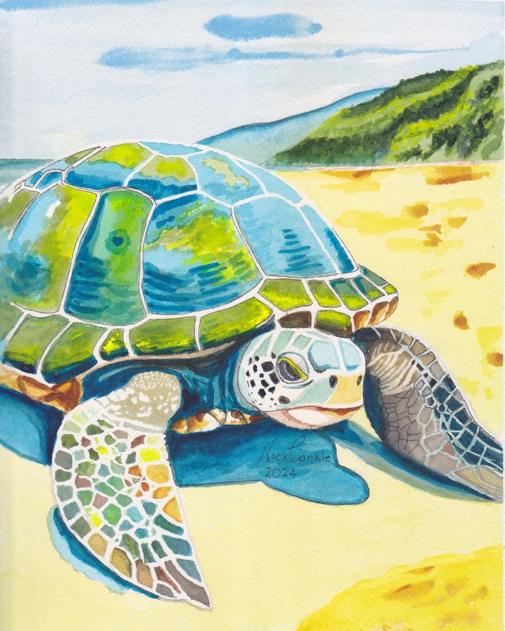 Turtle on the Beach