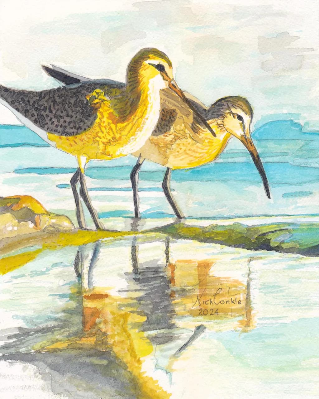 Two Shorebirds