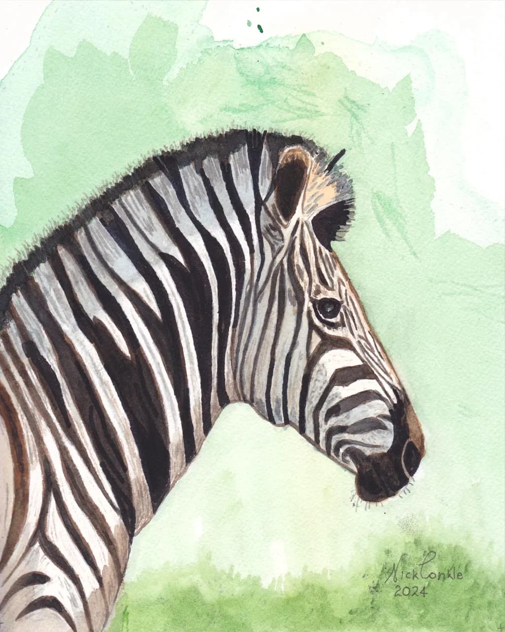 Zebra Profile