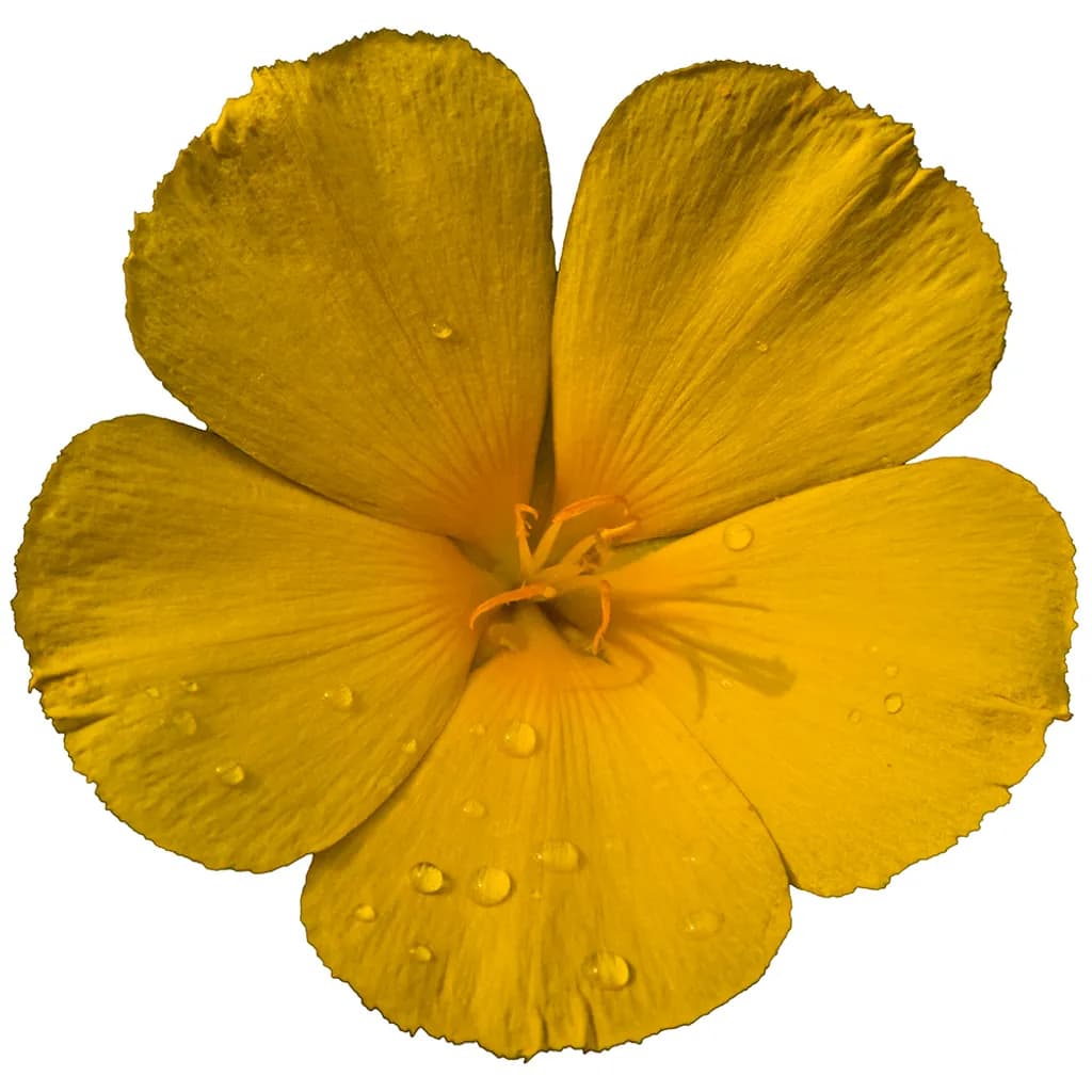 Image du post 5