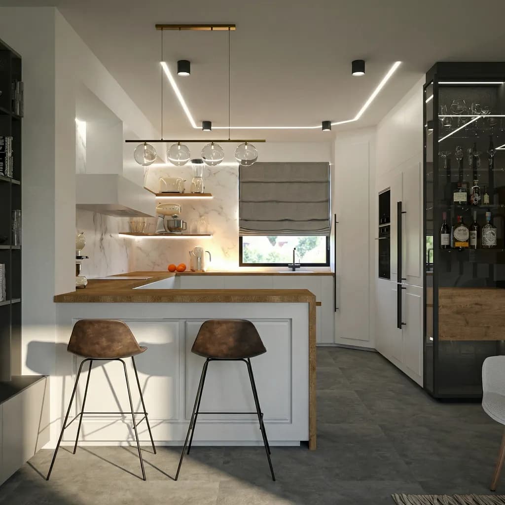 Modern Minimalist Kitchen