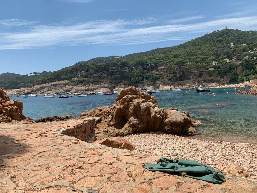 Coastal Rocky Shoreline