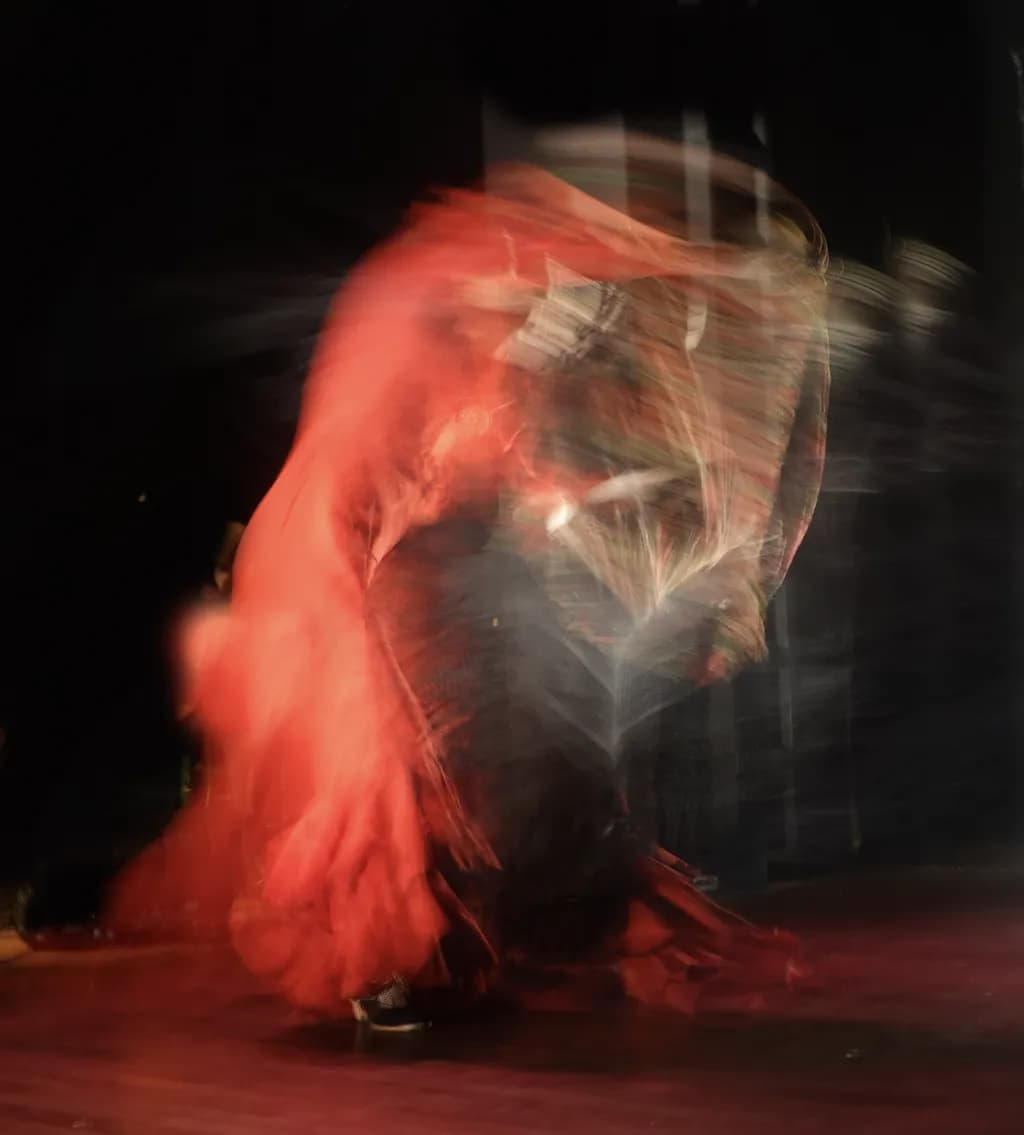 Flamenco Motion