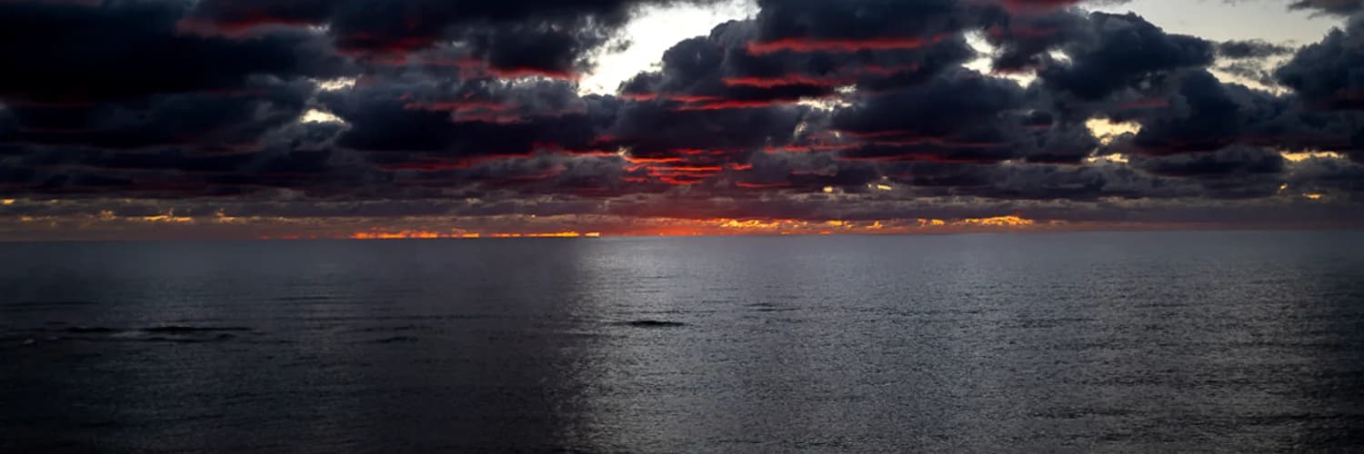 Banner del perfil