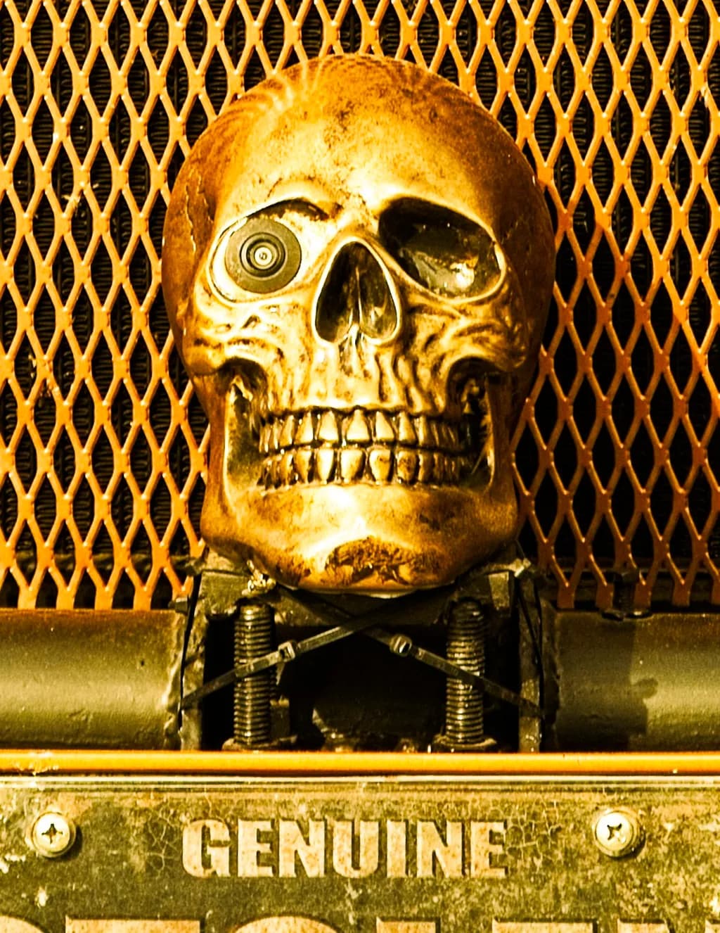 Genuine Skull