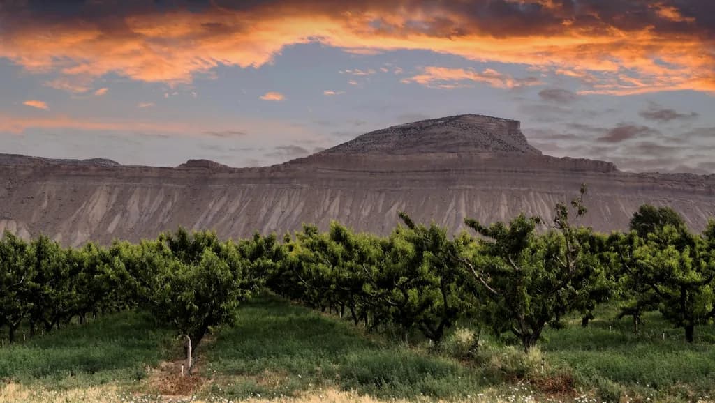 Palisade Horizon