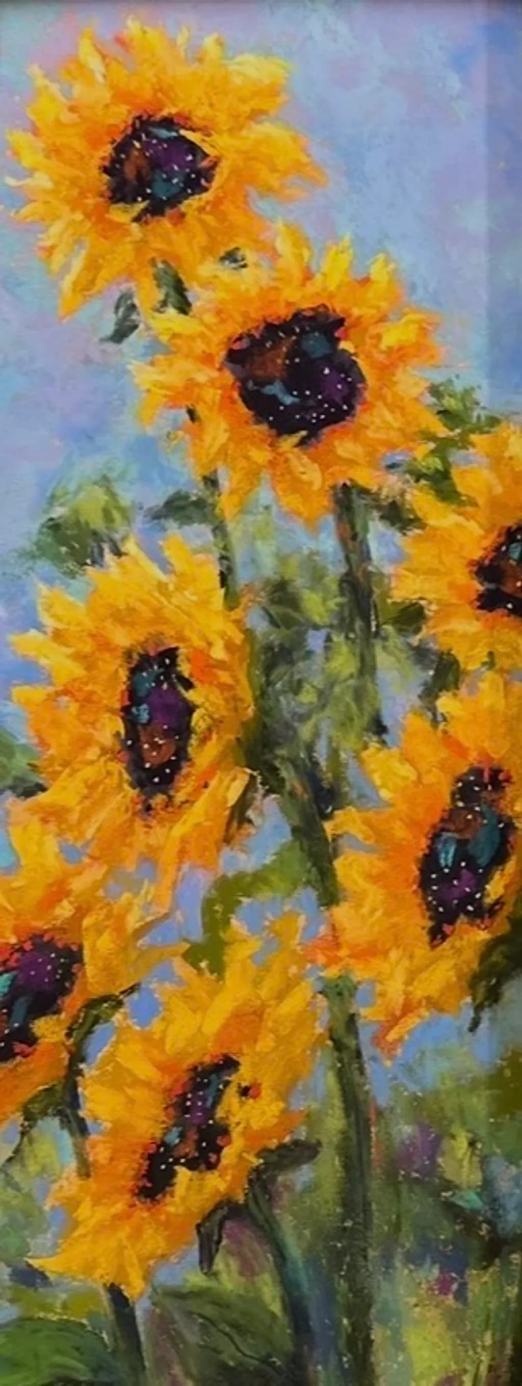 Sunlit Blooms