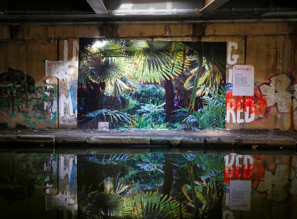 Urban Jungle Reflection
