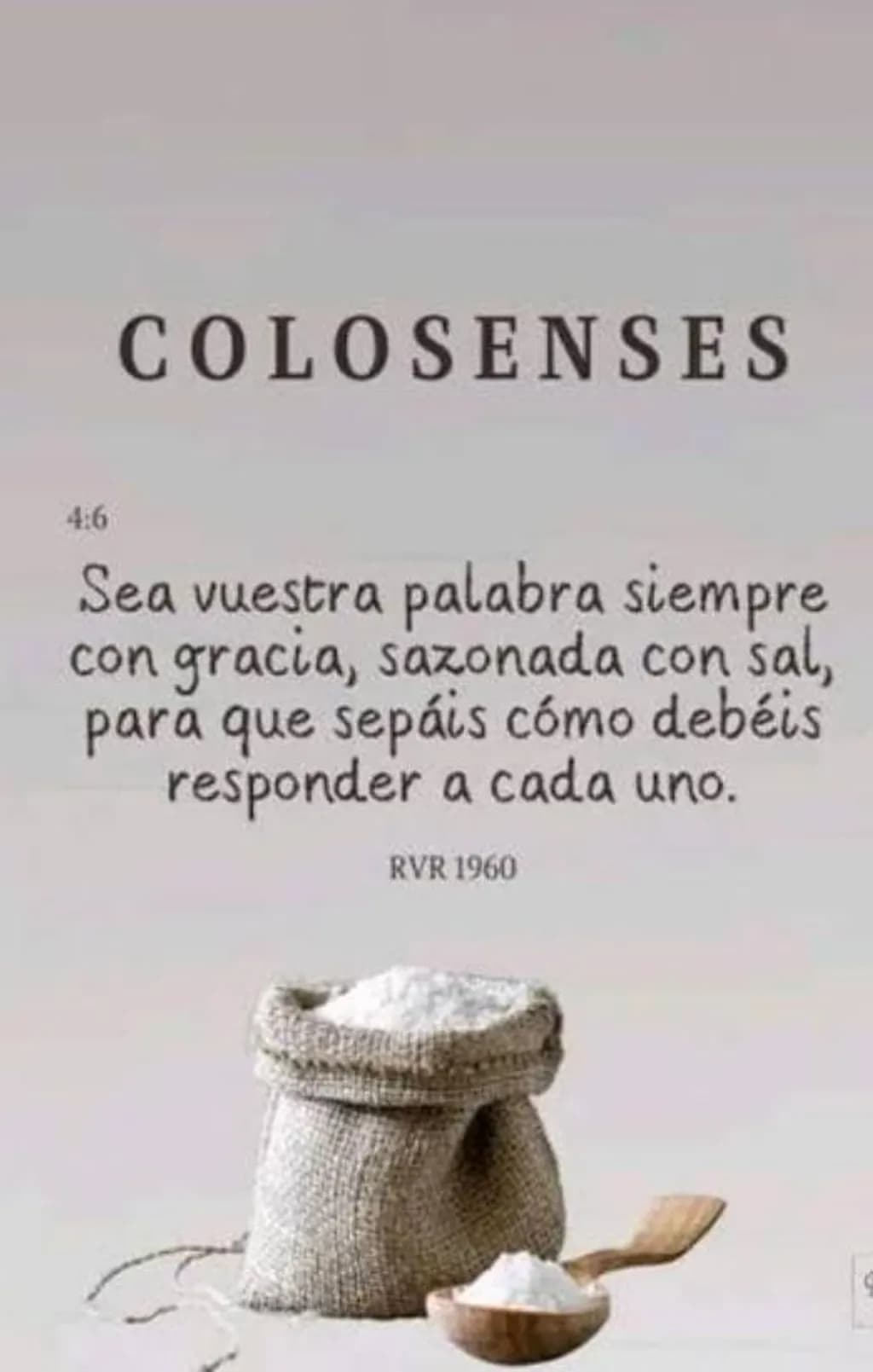 Colosenses 4:6 Salted Grace