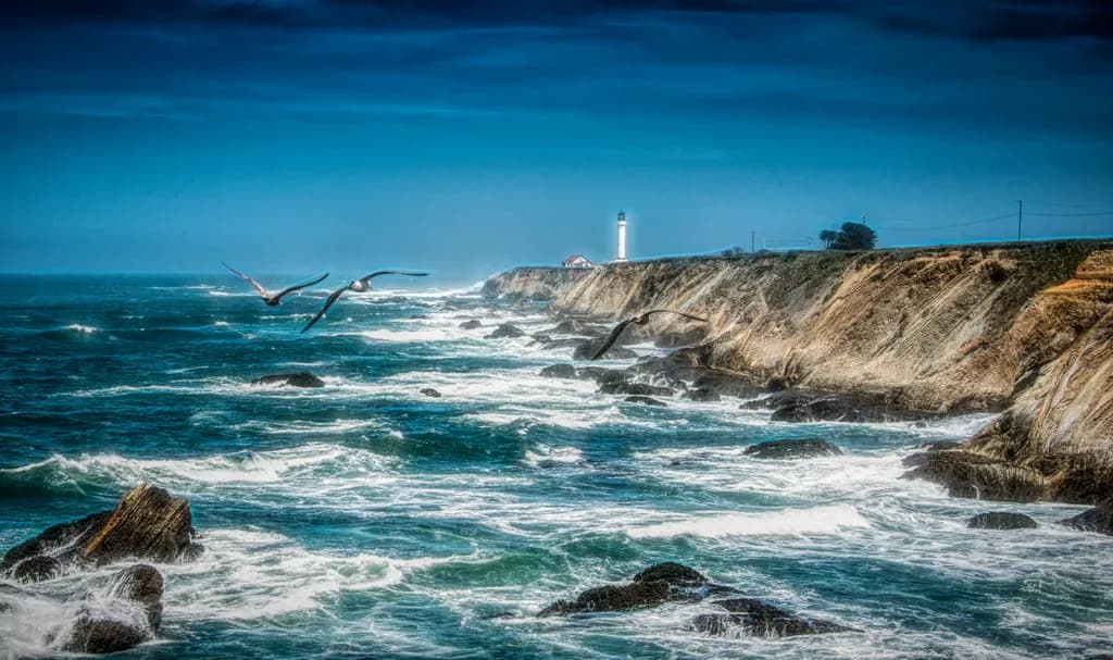 Lighthouse Coast Flight
