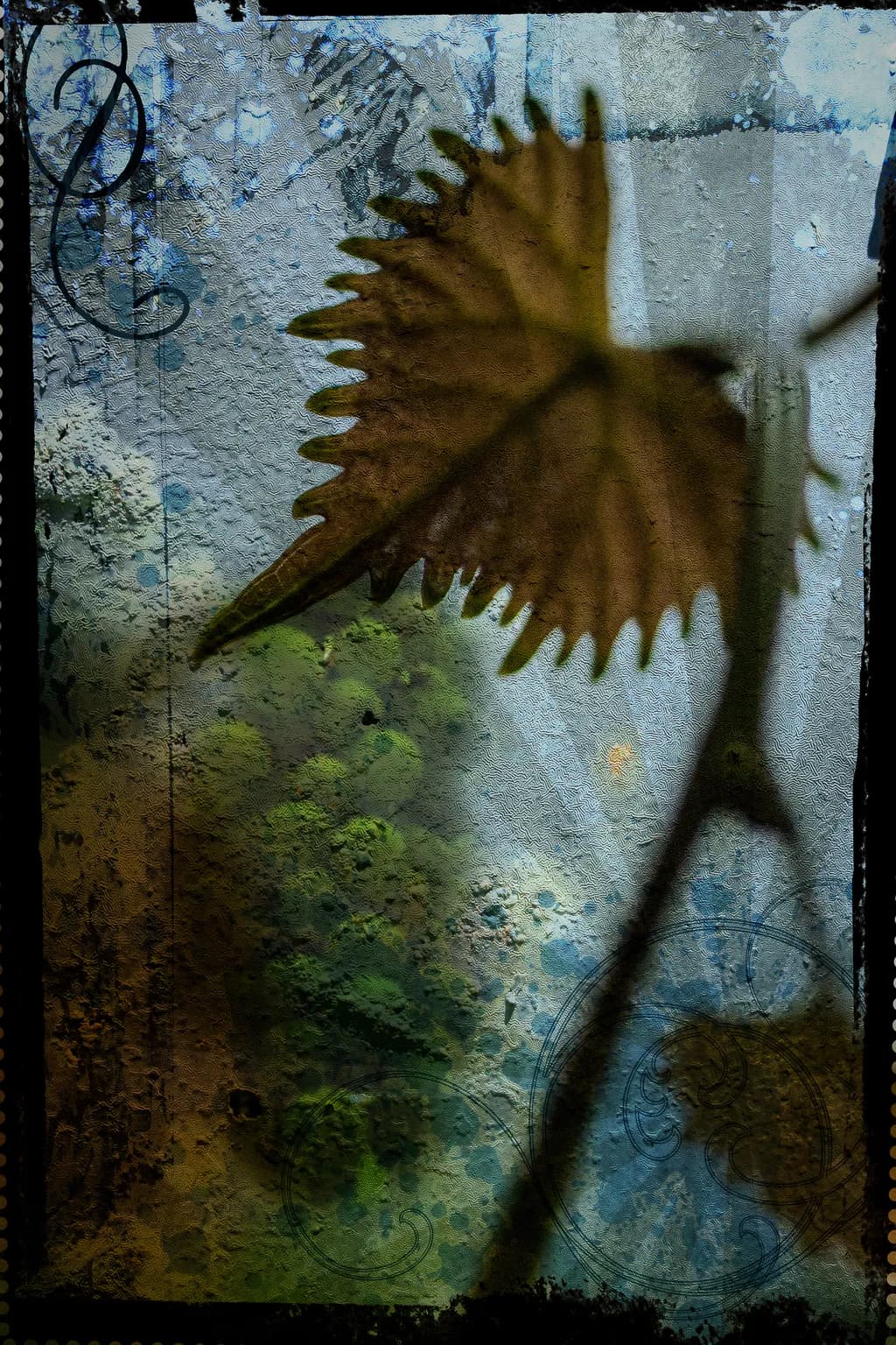 Summers Garden