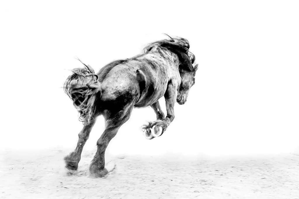Mid-Leap Wildness