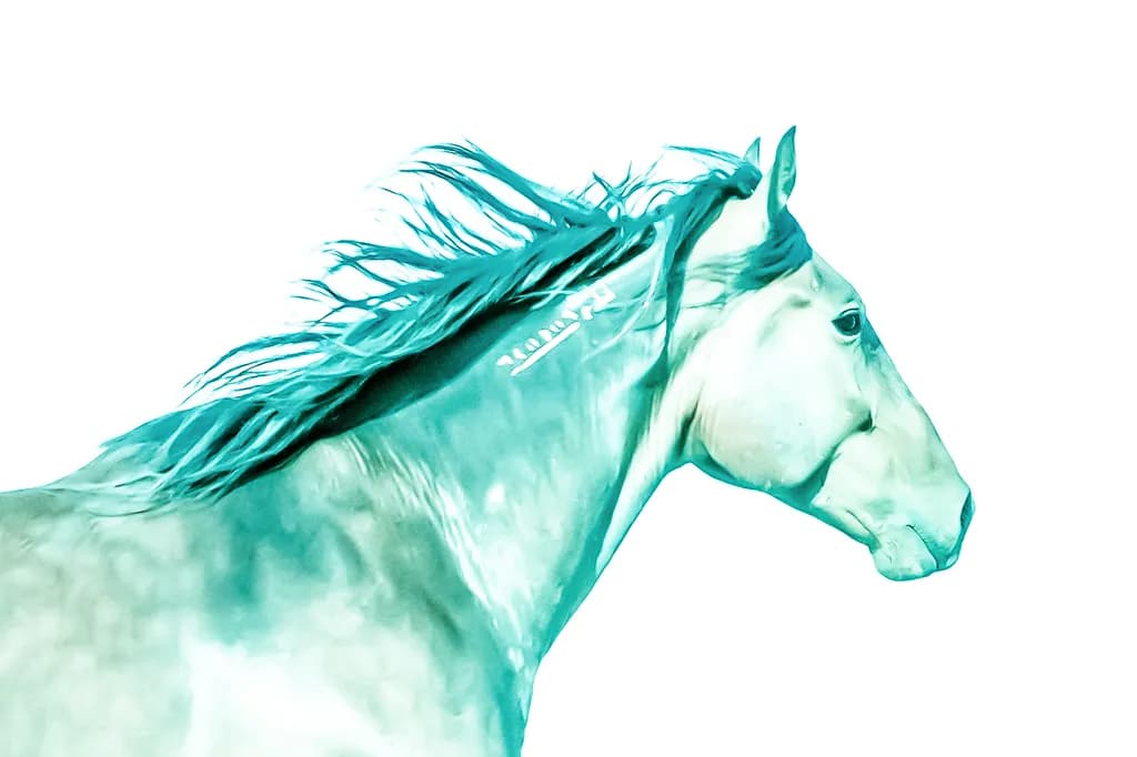 Teal Equinox Horse
