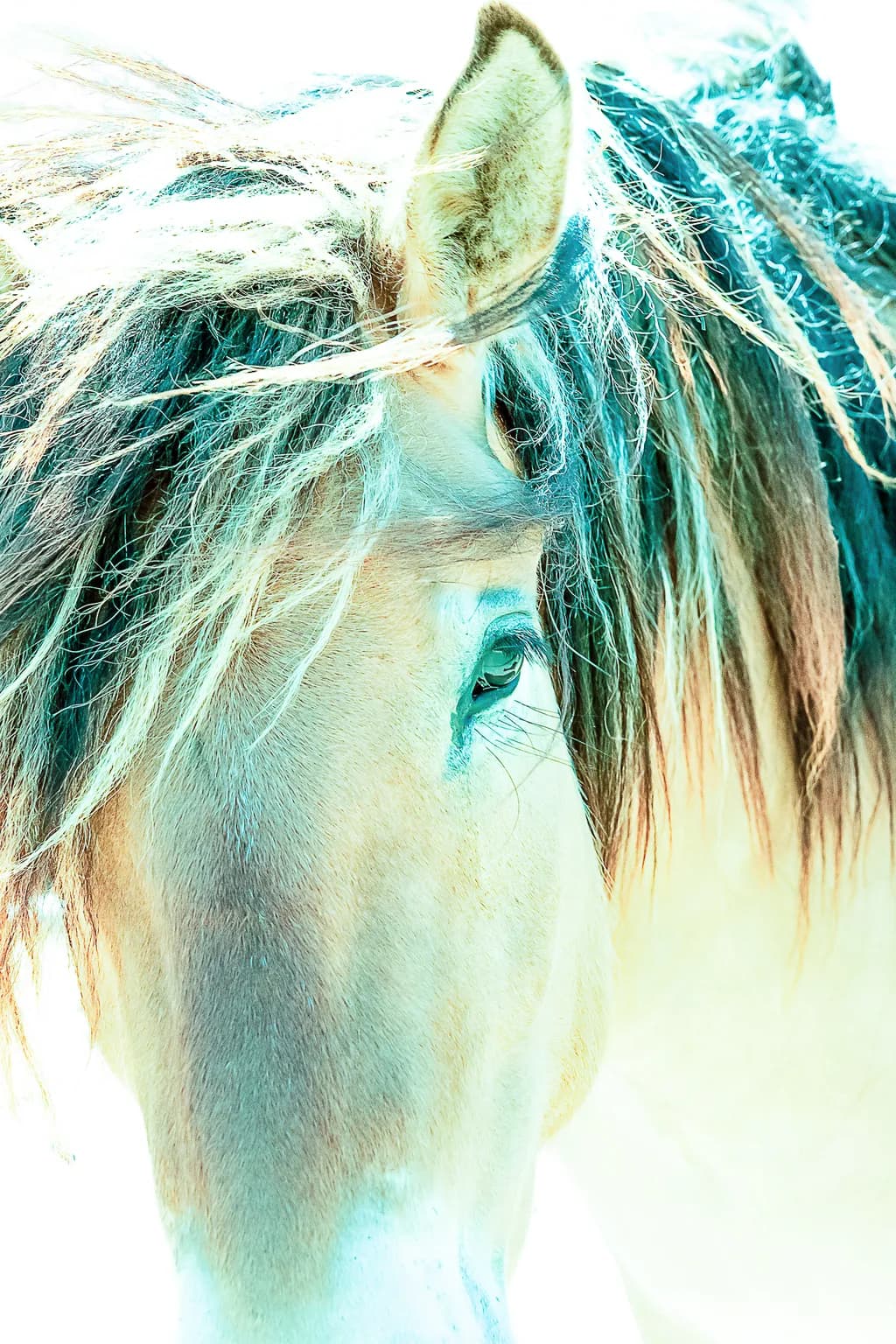Tangled Grace