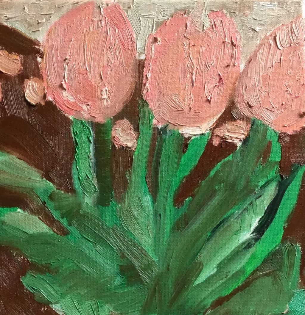 Blush Tulips