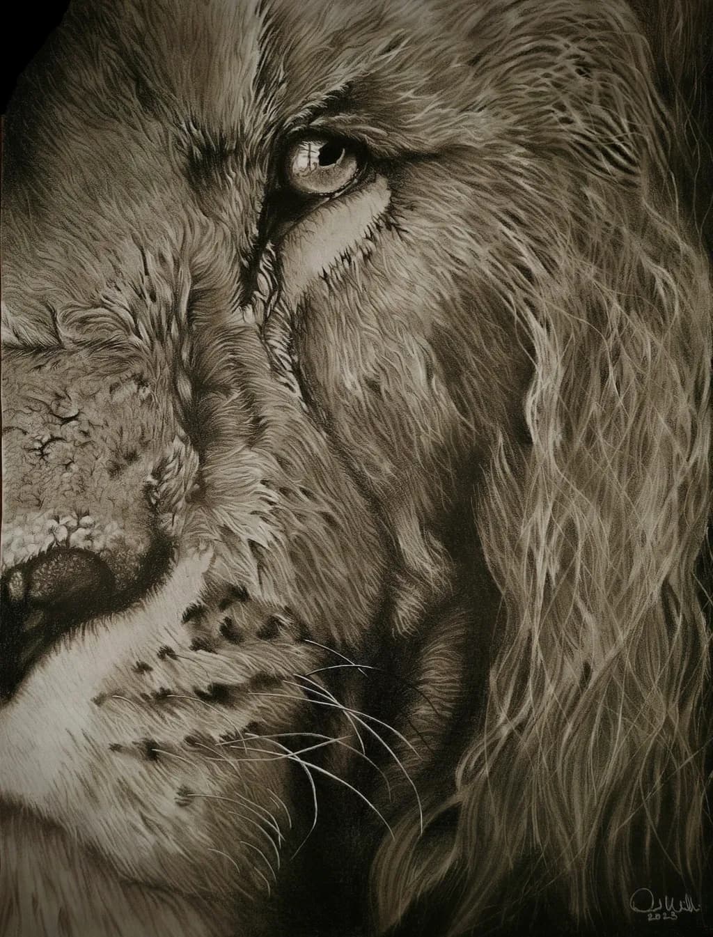 Lion's Gaze