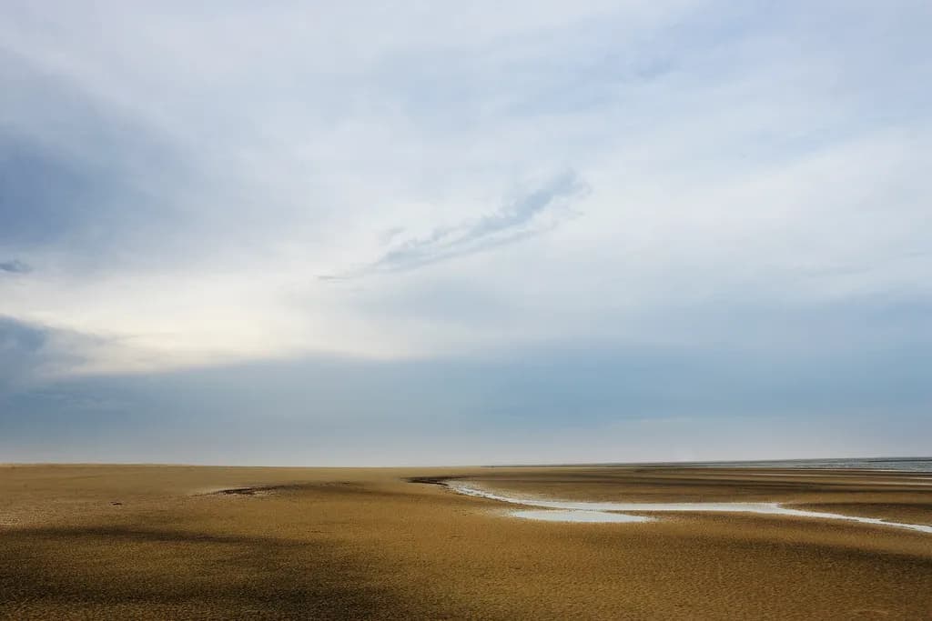 Harbor Island Beachscape
