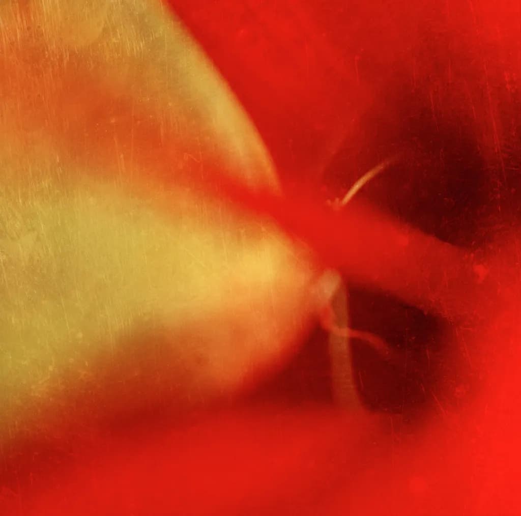 Butterfly Blur