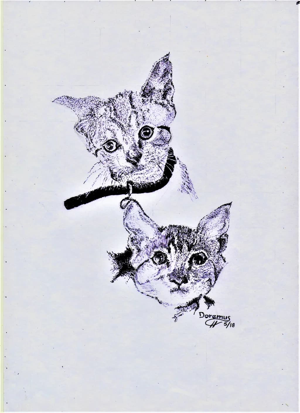 Twin Gaze