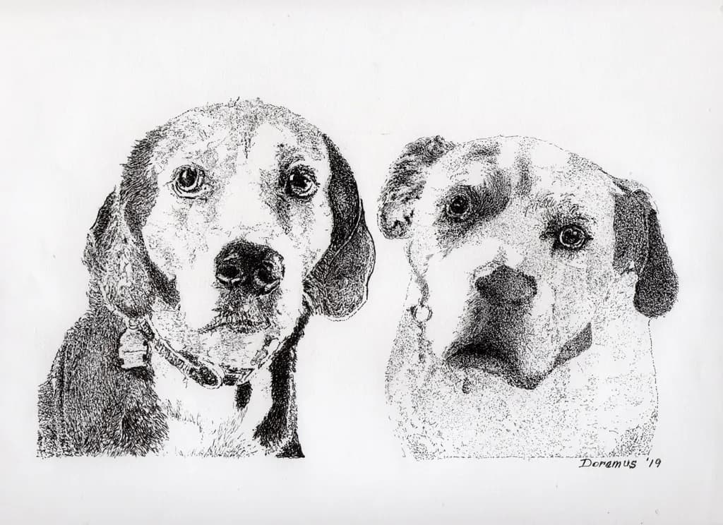 Dual Canine Study