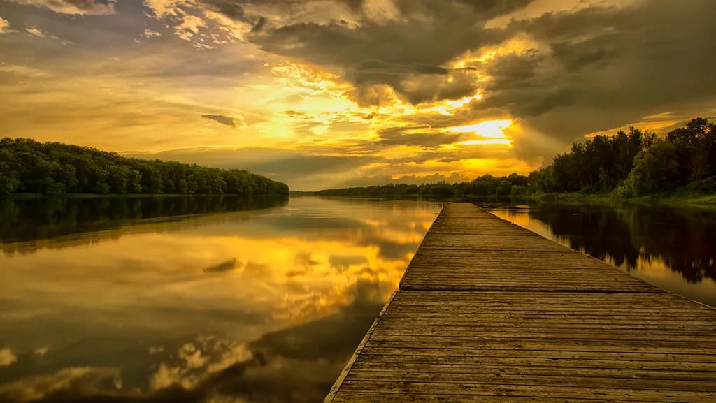 Golden Dockside
