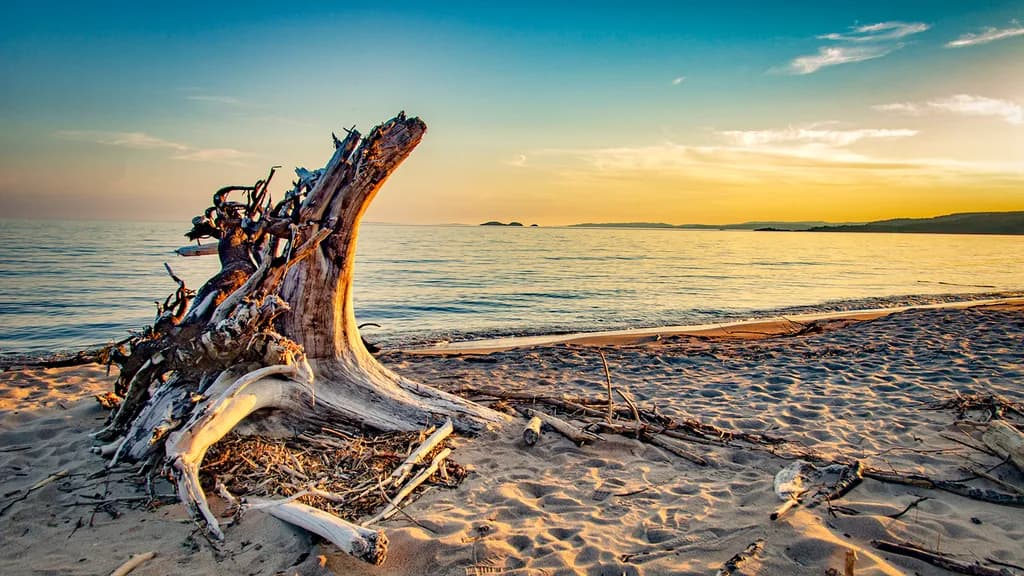 Driftwood Glow