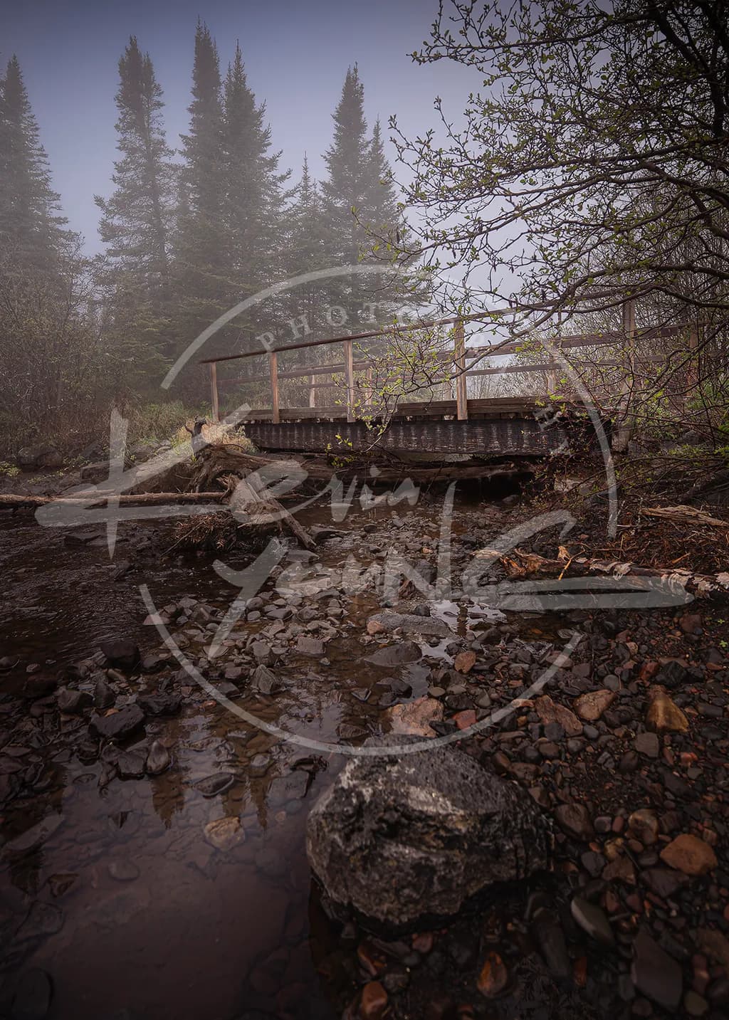 Foggy Forest Bridge