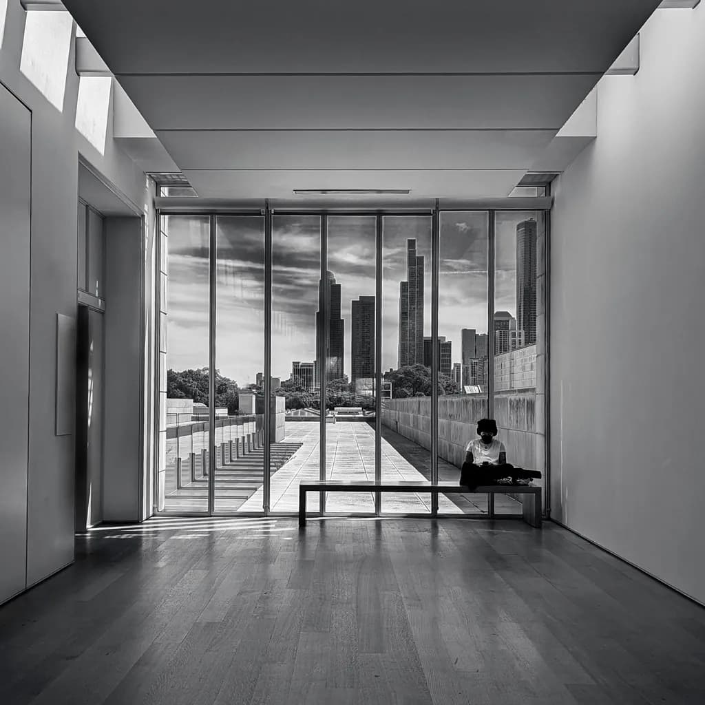 Art Institute View