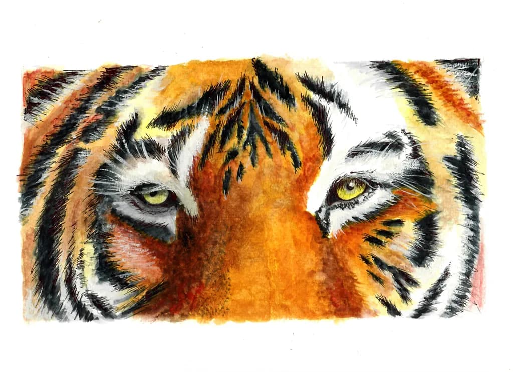 Nature - Tiger Face