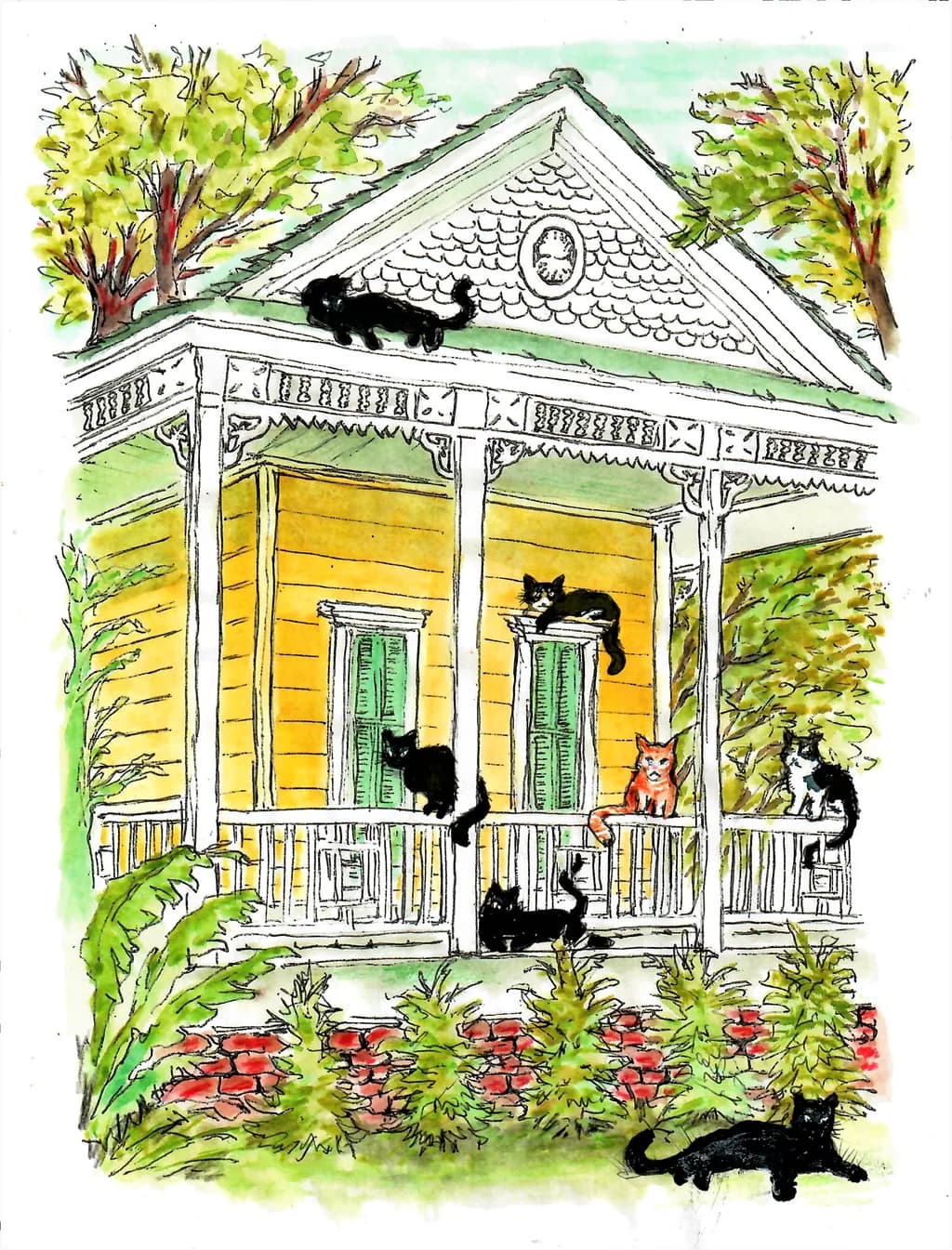 Cats on New Orleans House