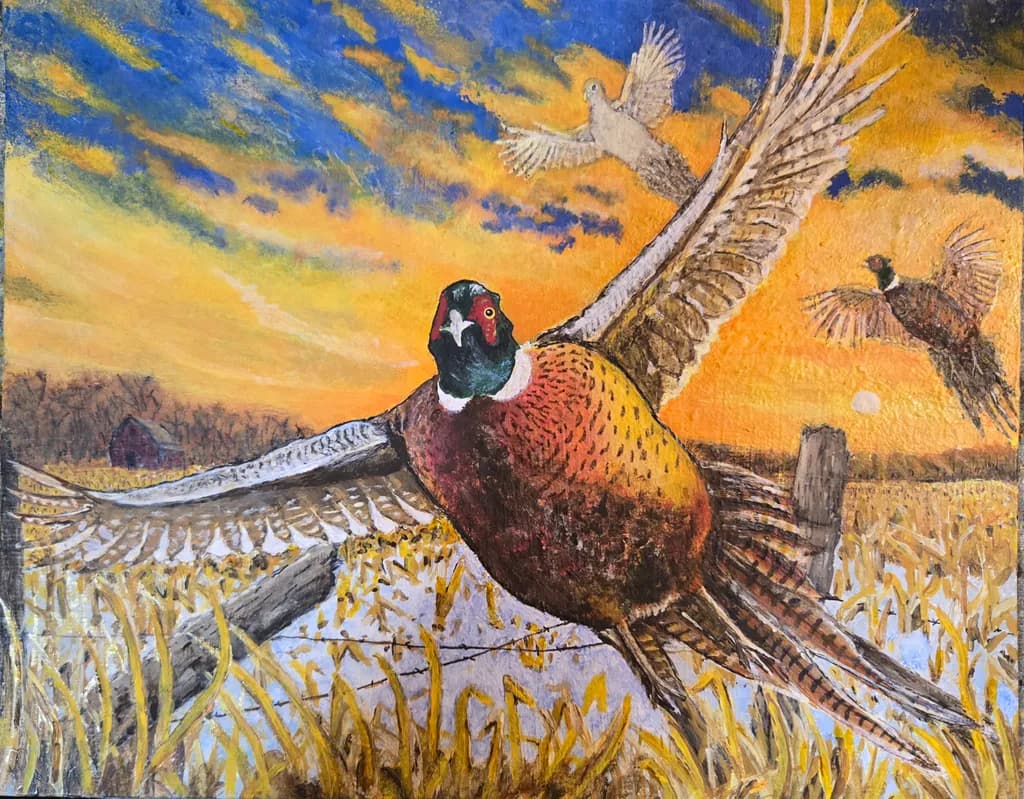 Flying Pheasant at Sunset