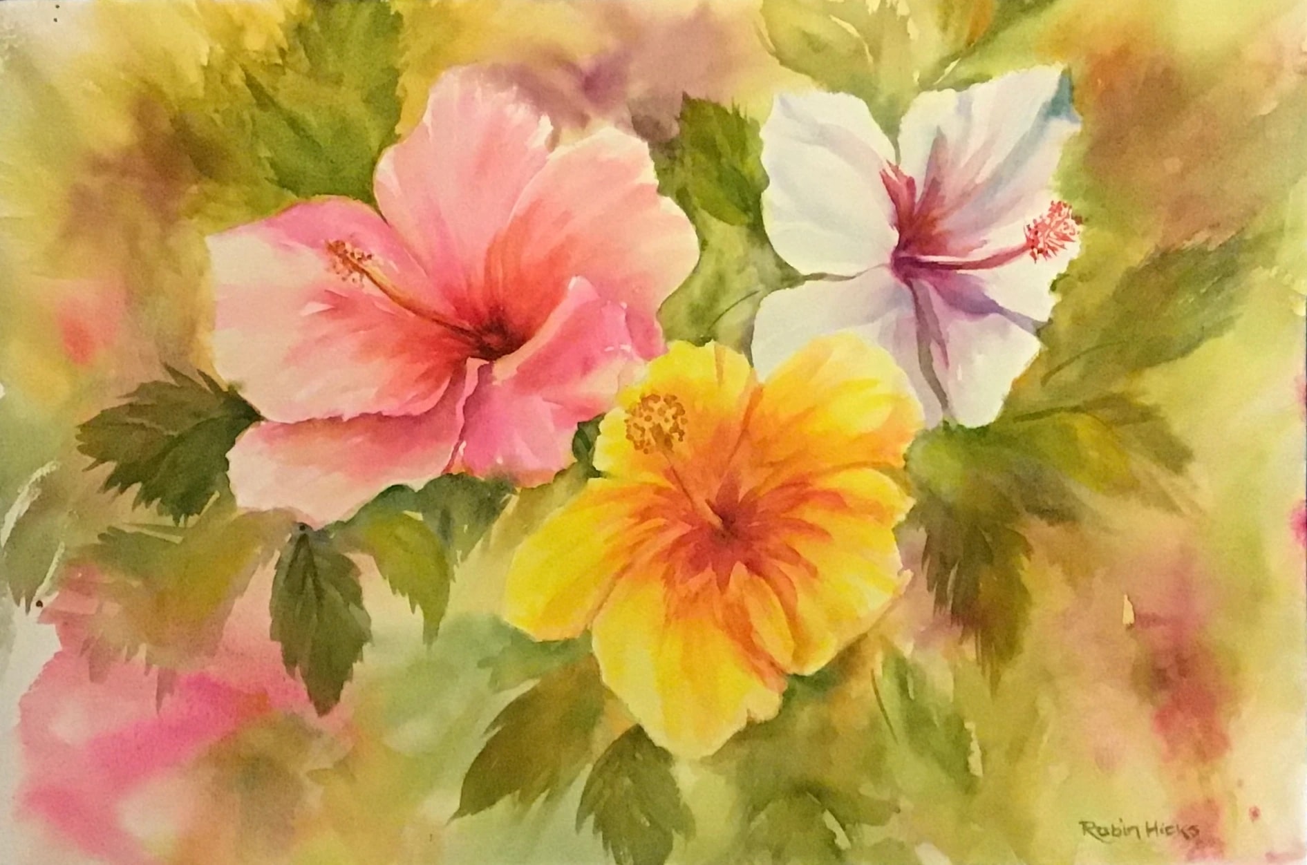 Hibiscus Trio