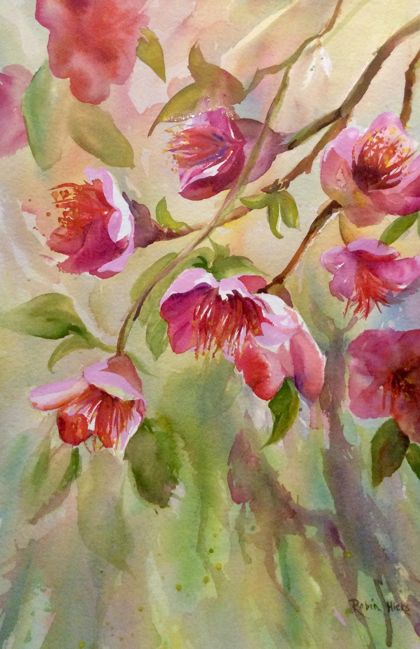 Pink Watercolor Blossoms
