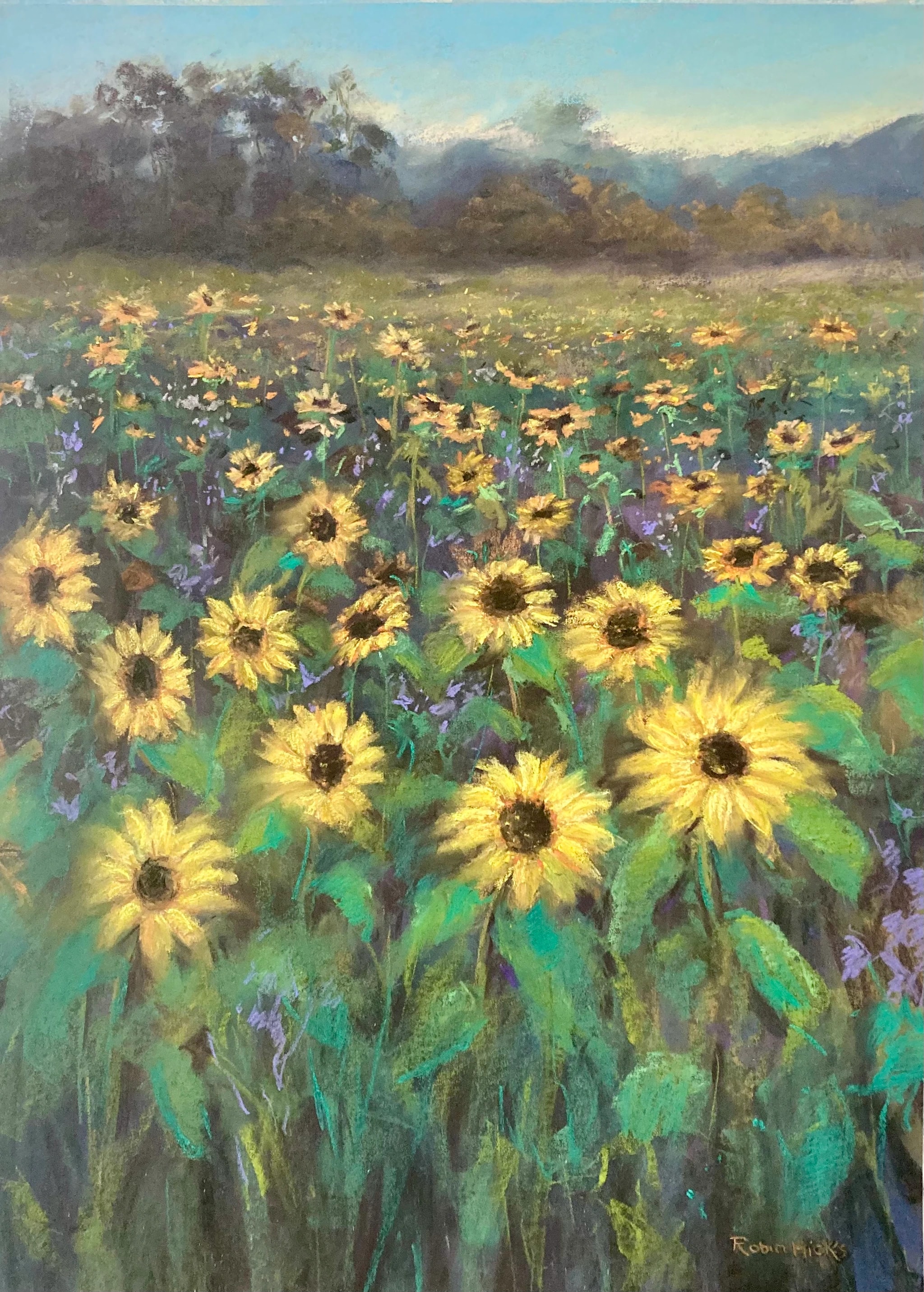 Sunflower Meadow at the Mountain’s Edge