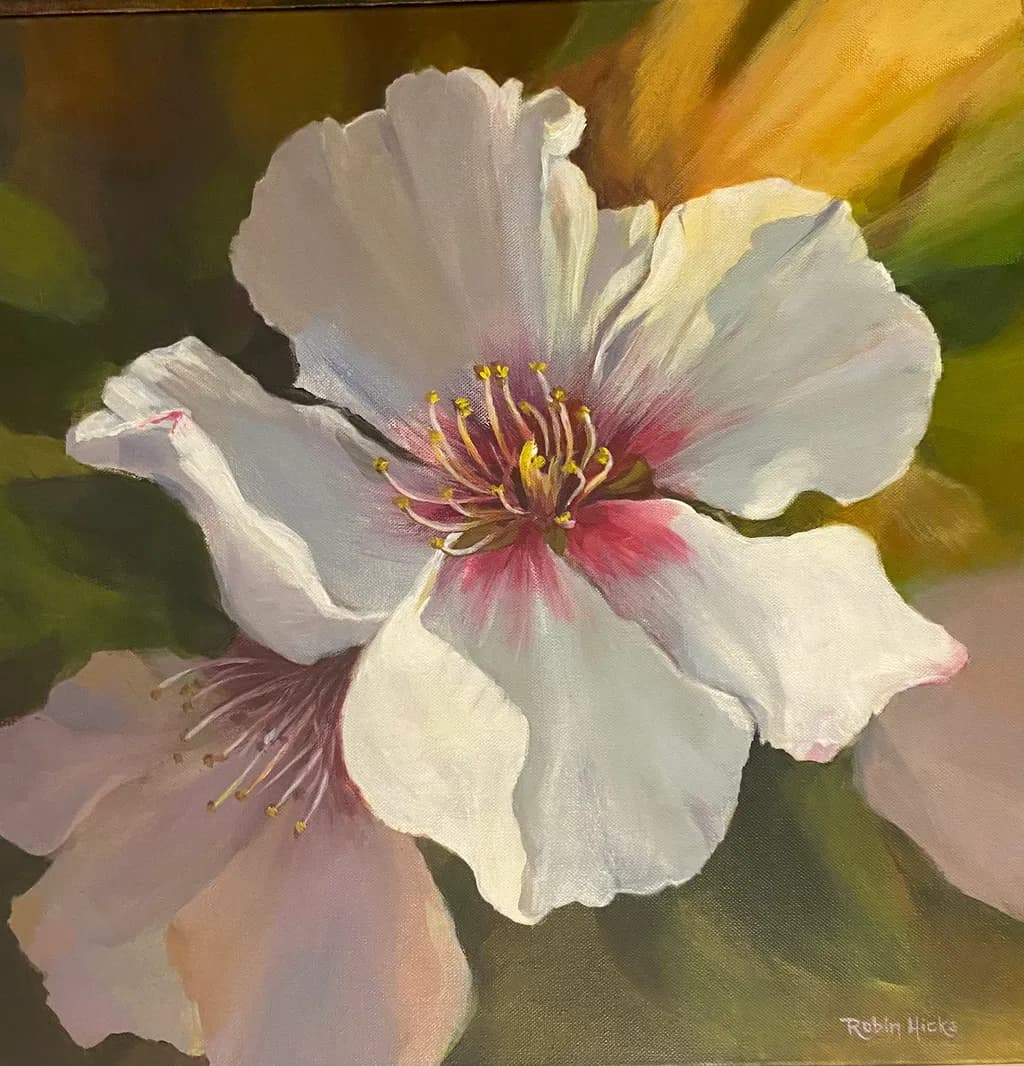 Hibiscus in morning light