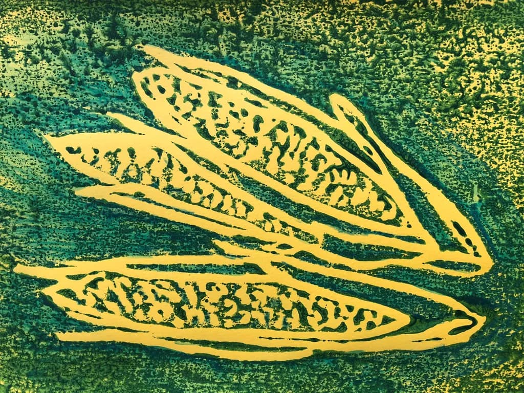 Blue Green Corn