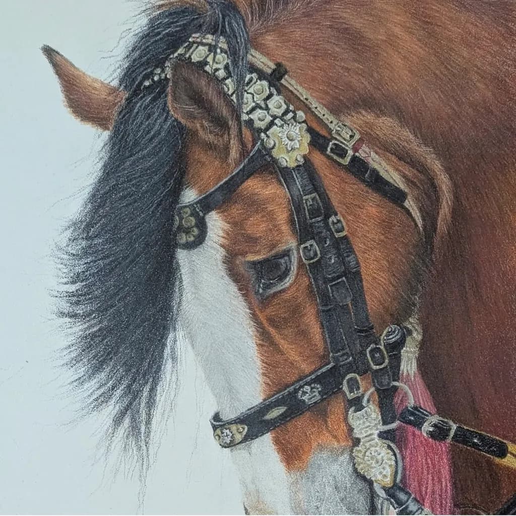 Bridle Grace