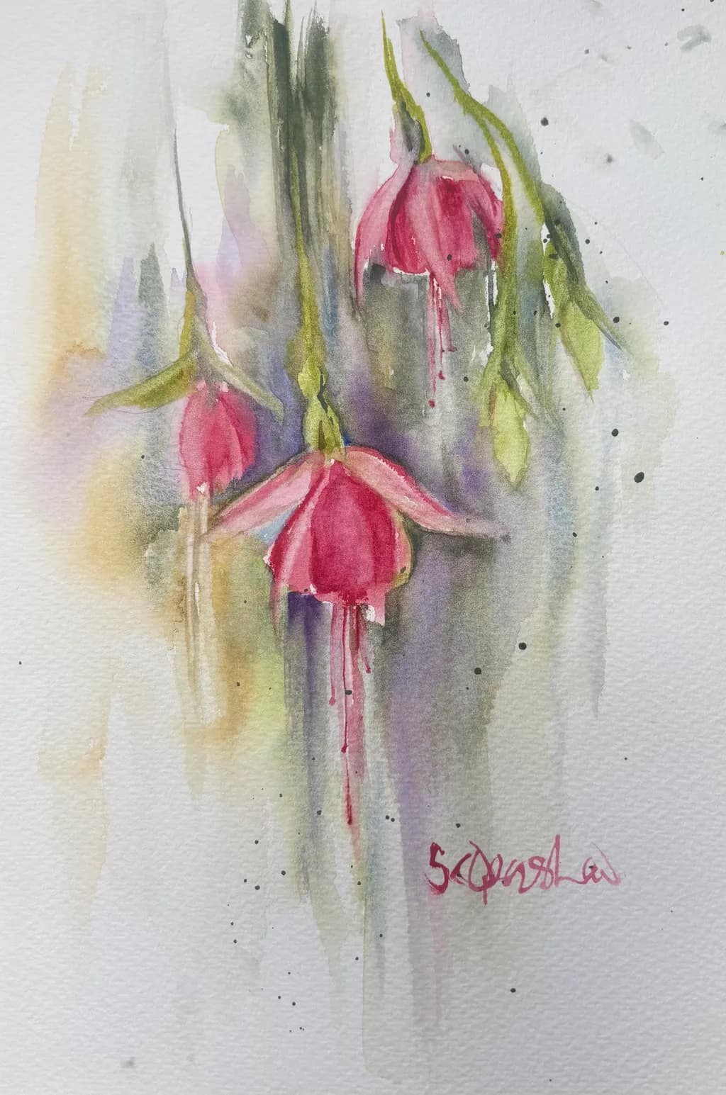Fuchsia Drift