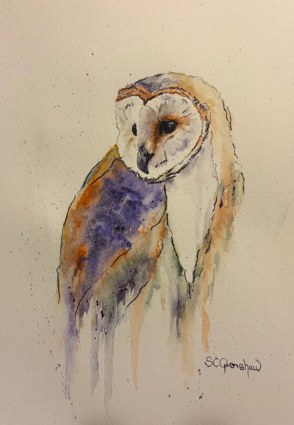 Barn Owl Drift