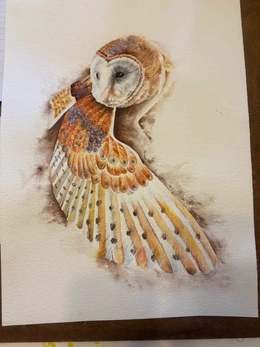 Barn Owl Flight
