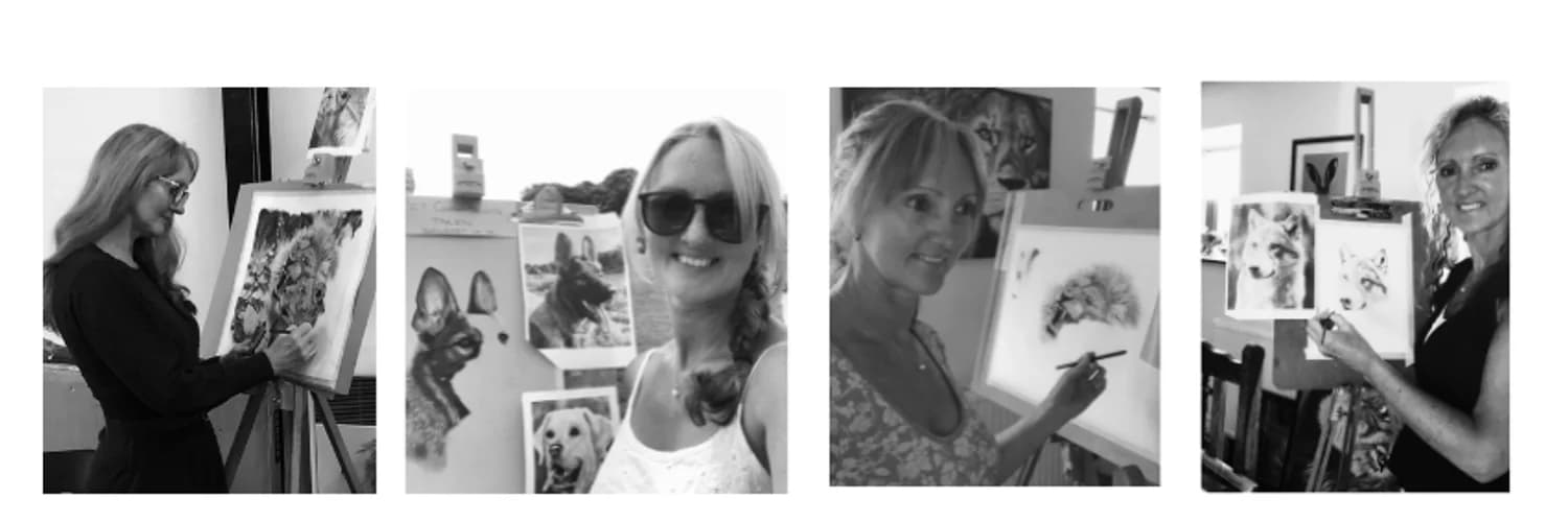 Profilbanner