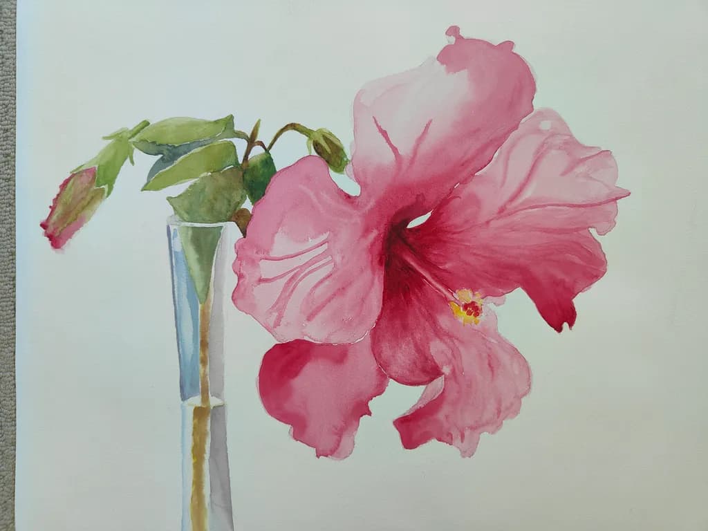 Hibiscus